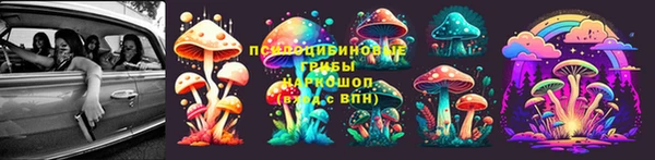 дживик Абинск