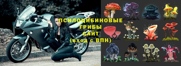 дживик Абинск