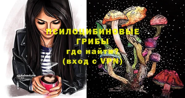 дживик Абинск