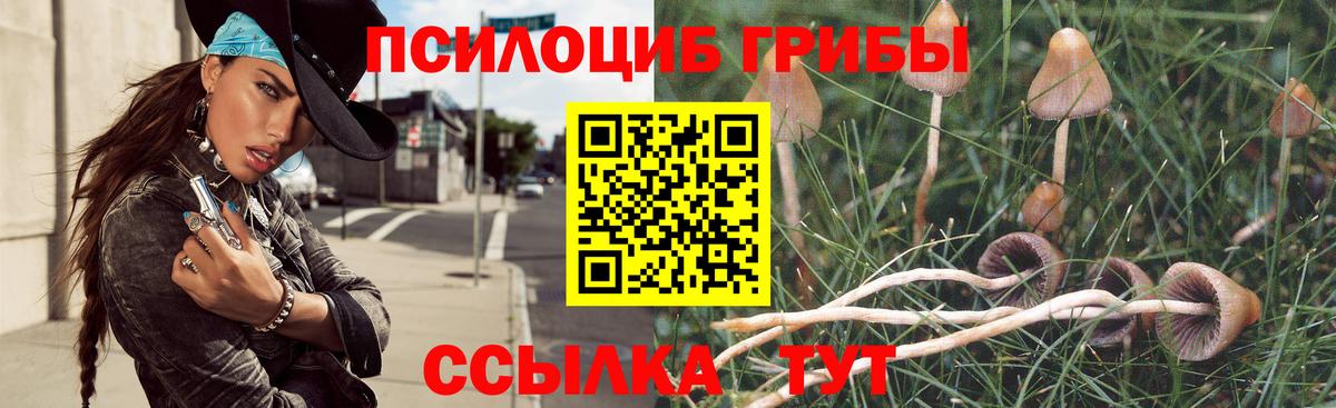 сколько стоит  Вход с VPN  Псилоцибиновые грибы GOLDEN TEACHER  Псков  Галлюциногенные грибы MAGIC MUSHROOMS 
